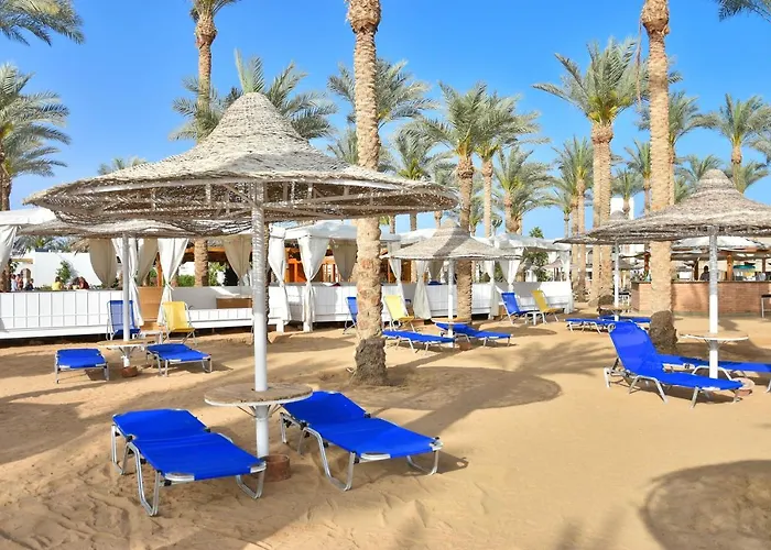 Hotel Seti Palm Families And Couples Only Sharm el Sheikh