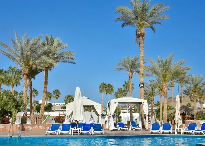 Hotel Seti Palm Families And Couples Only