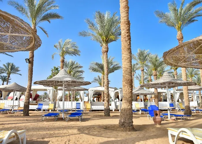 Hotel Seti Palm Families And Couples Only