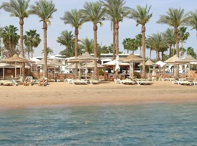Hotel Seti Palm Families And Couples Only 4*