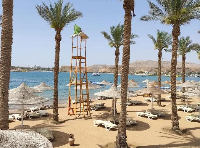 Hotel Seti Palm Families And Couples Only 4*