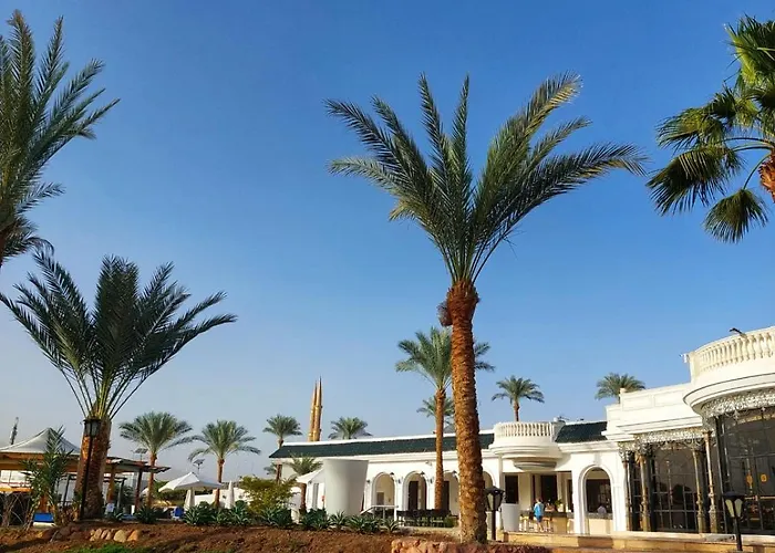 Seti Palm Families And Couples Only 4* Sharm el Sheikh