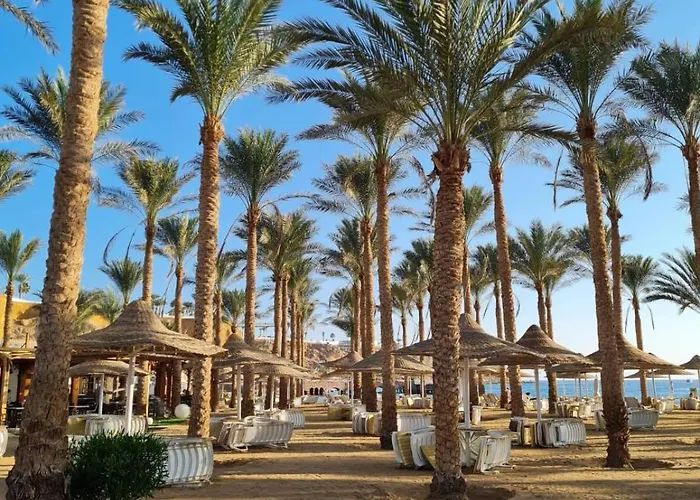Hotel Seti Palm Families And Couples Only