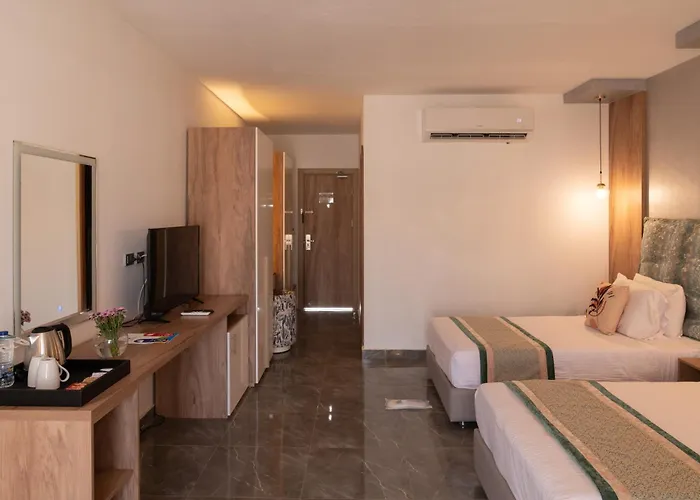 Hotel Seti Palm Families And Couples Only